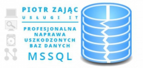 Skuteczna naprawa baz danych SQL trudne przypadki / Naprawa bazy danych MSSQL, baz Płatnika, Wapro, 
